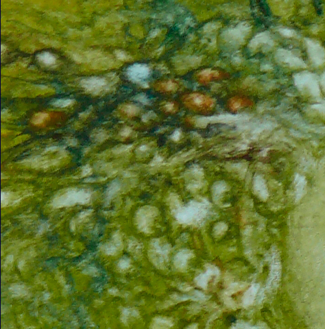 Bilddetail