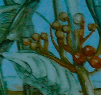 Bilddetail