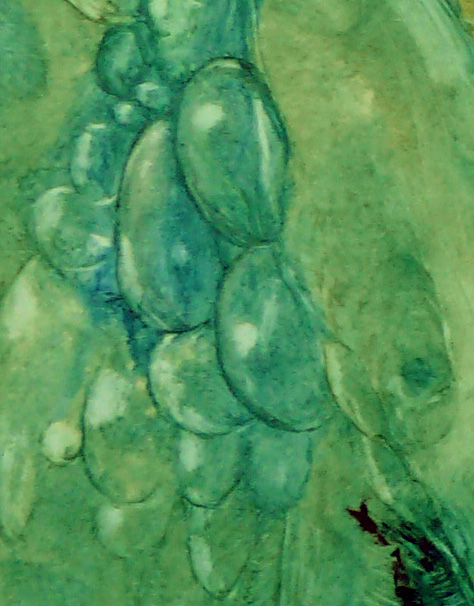 Bilddetail