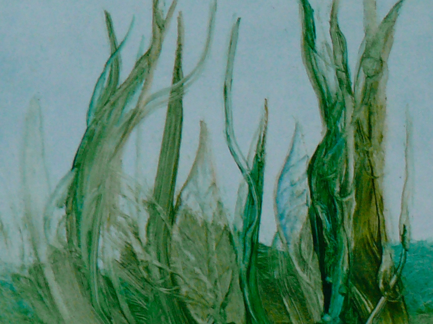 Bilddetail