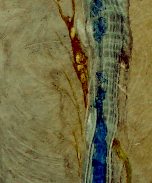 Bilddetail