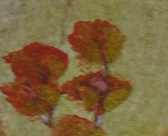 Bilddetail
