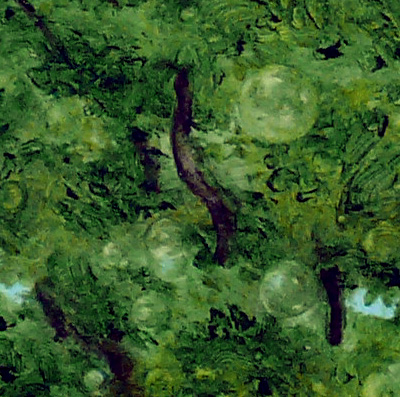 Bilddetail