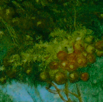 Bilddetail