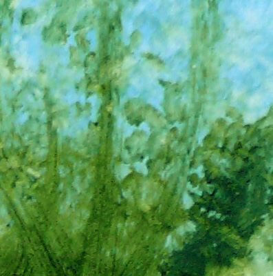 Bilddetail